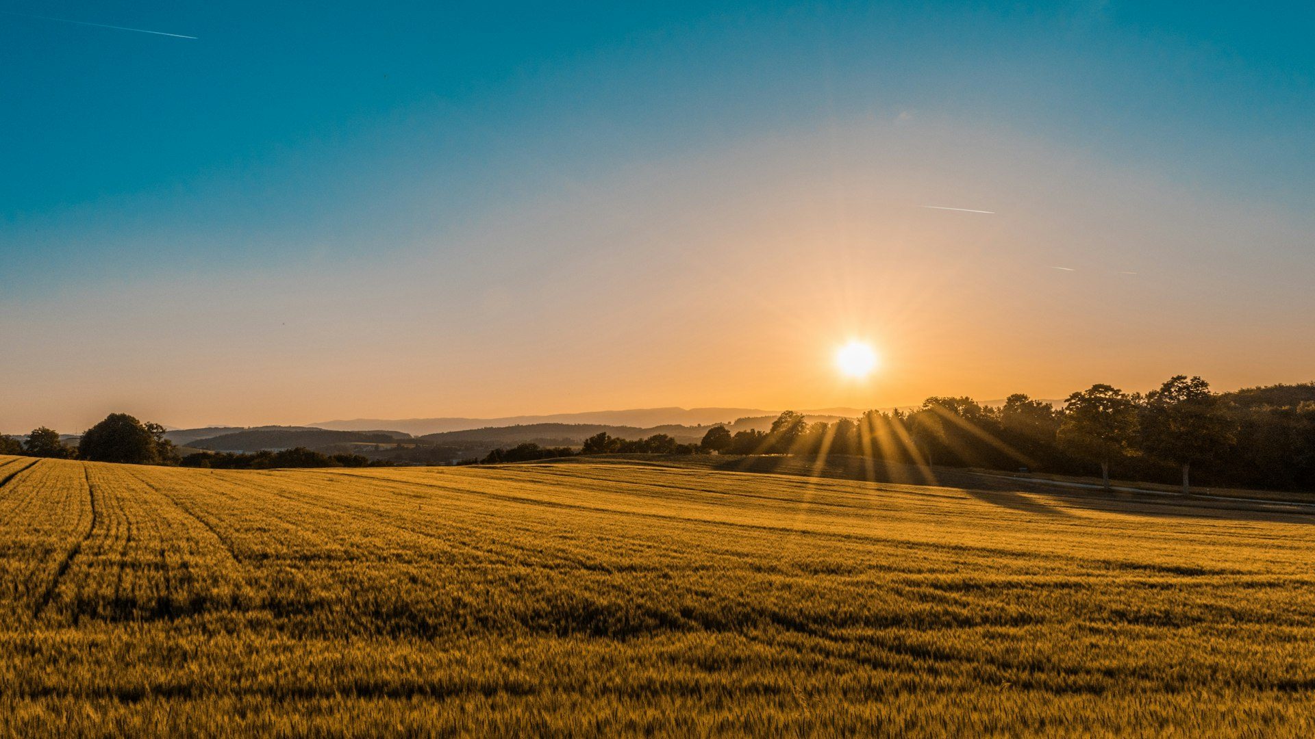 Own Farmland. Grow Real Wealth.